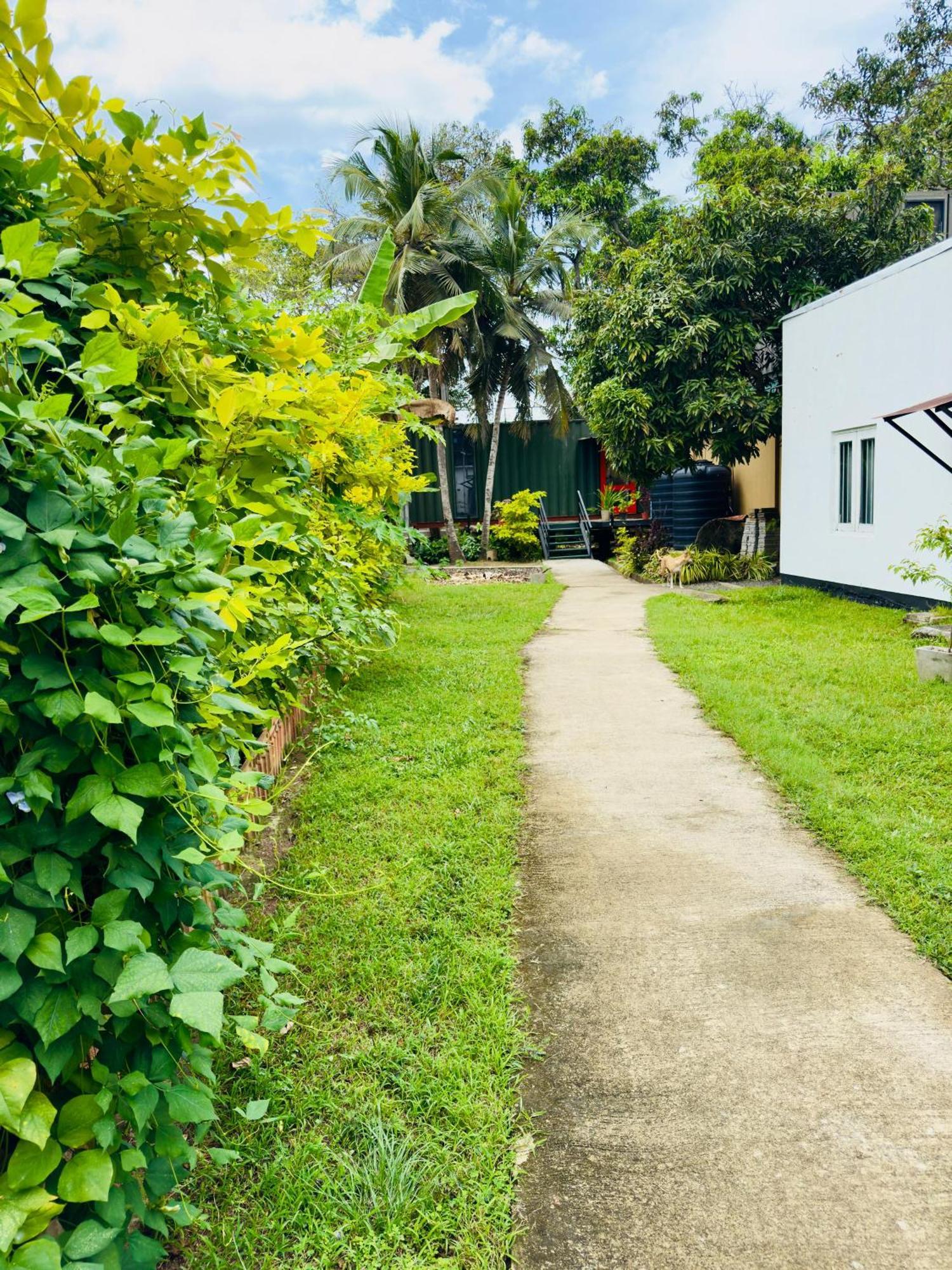 Traveler'S Haven Hostel At Colombo Intl Airport Katunayaka Buitenkant foto